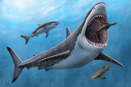 Megalodon Was No Cold-Blooded Killer – EPSS Professor Co-Leads Discovery