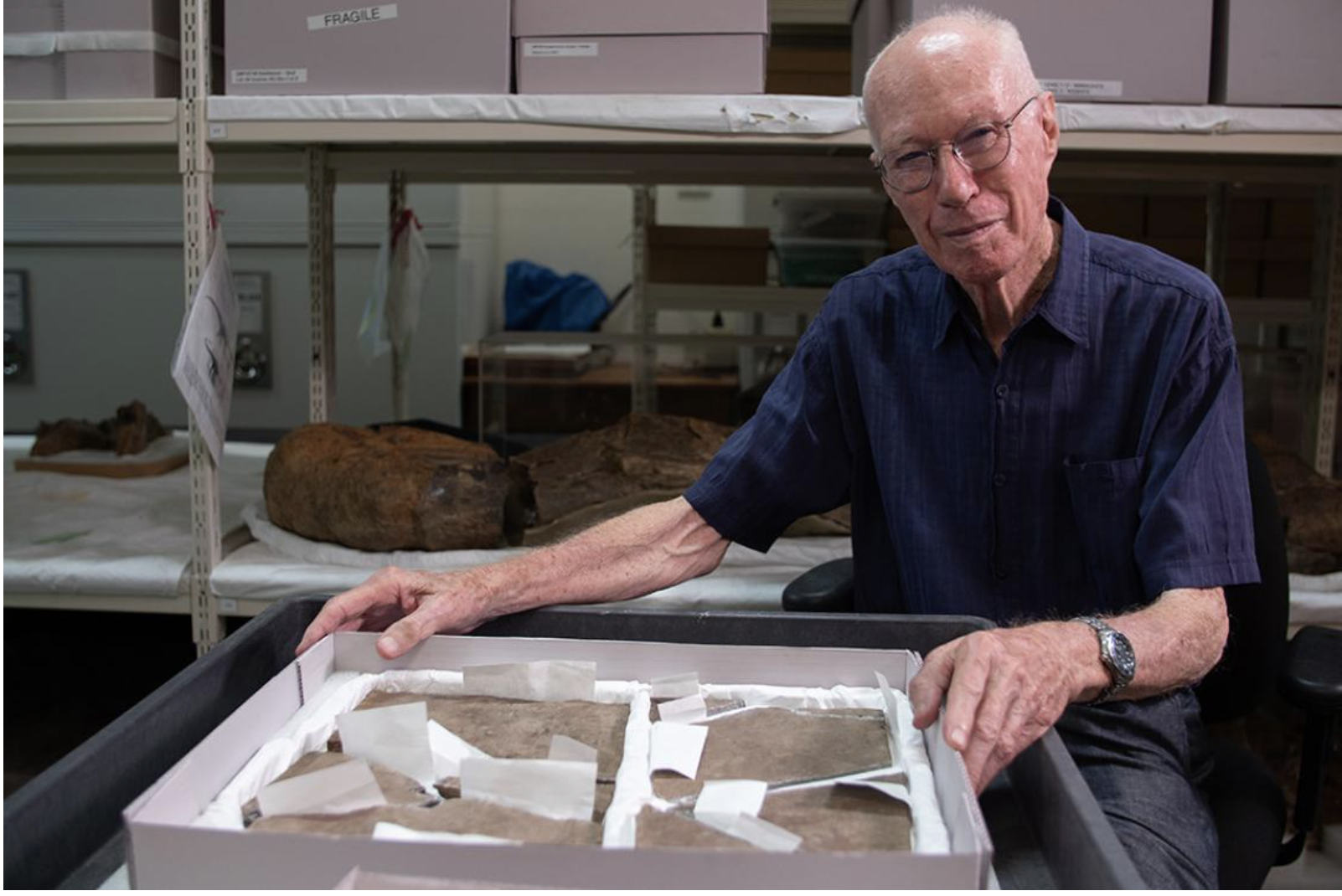 Brisbane Dinosaur Fossil is Australia’s Oldest