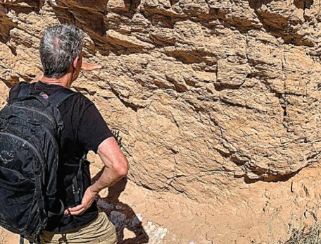 Late Miocene Colorado River Arrival in the Bidahochi Basin Supports Spillover Origin of Grand Canyon
