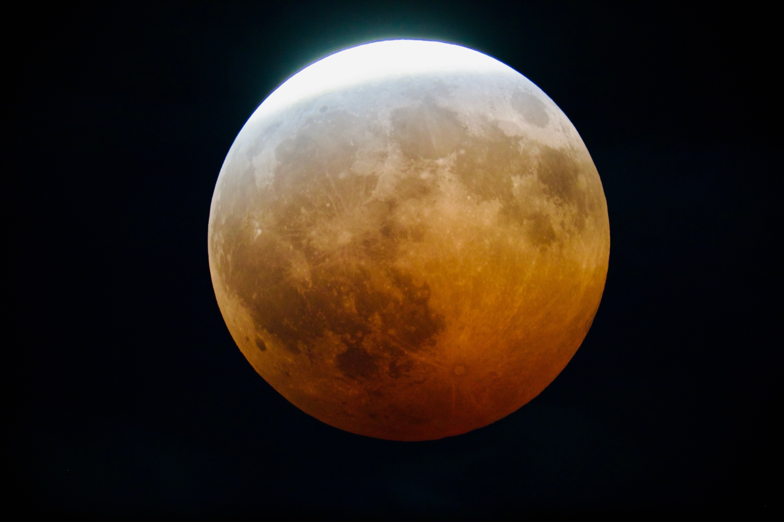 Close-up telescope view of the eclipsed Moon showing its reddish color, craters, and dark lava plains